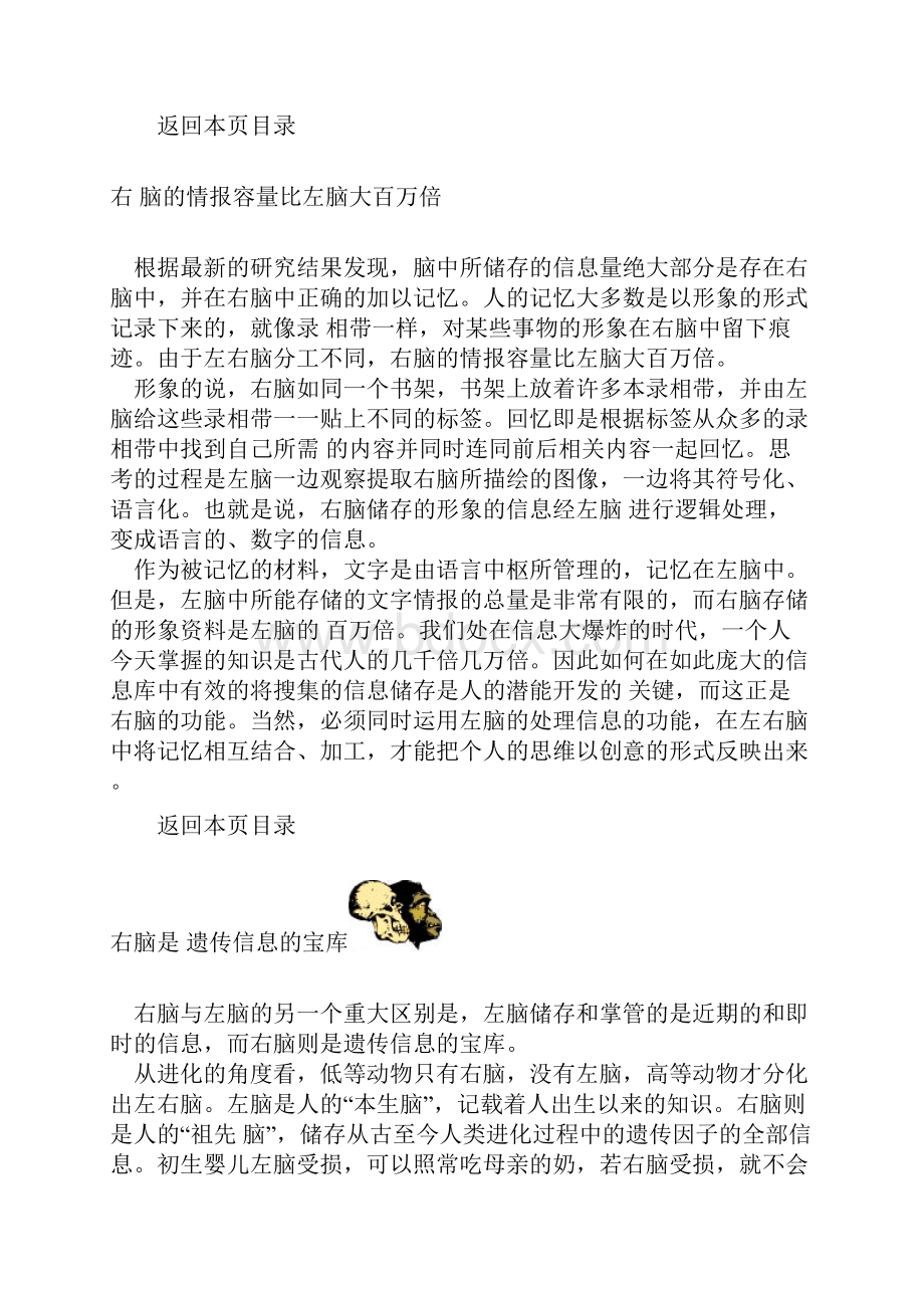 大脑功能分区理论.docx_第2页