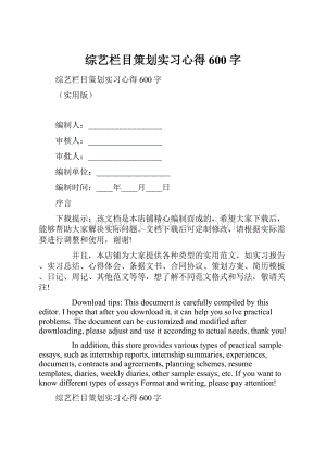 综艺栏目策划实习心得600字.docx