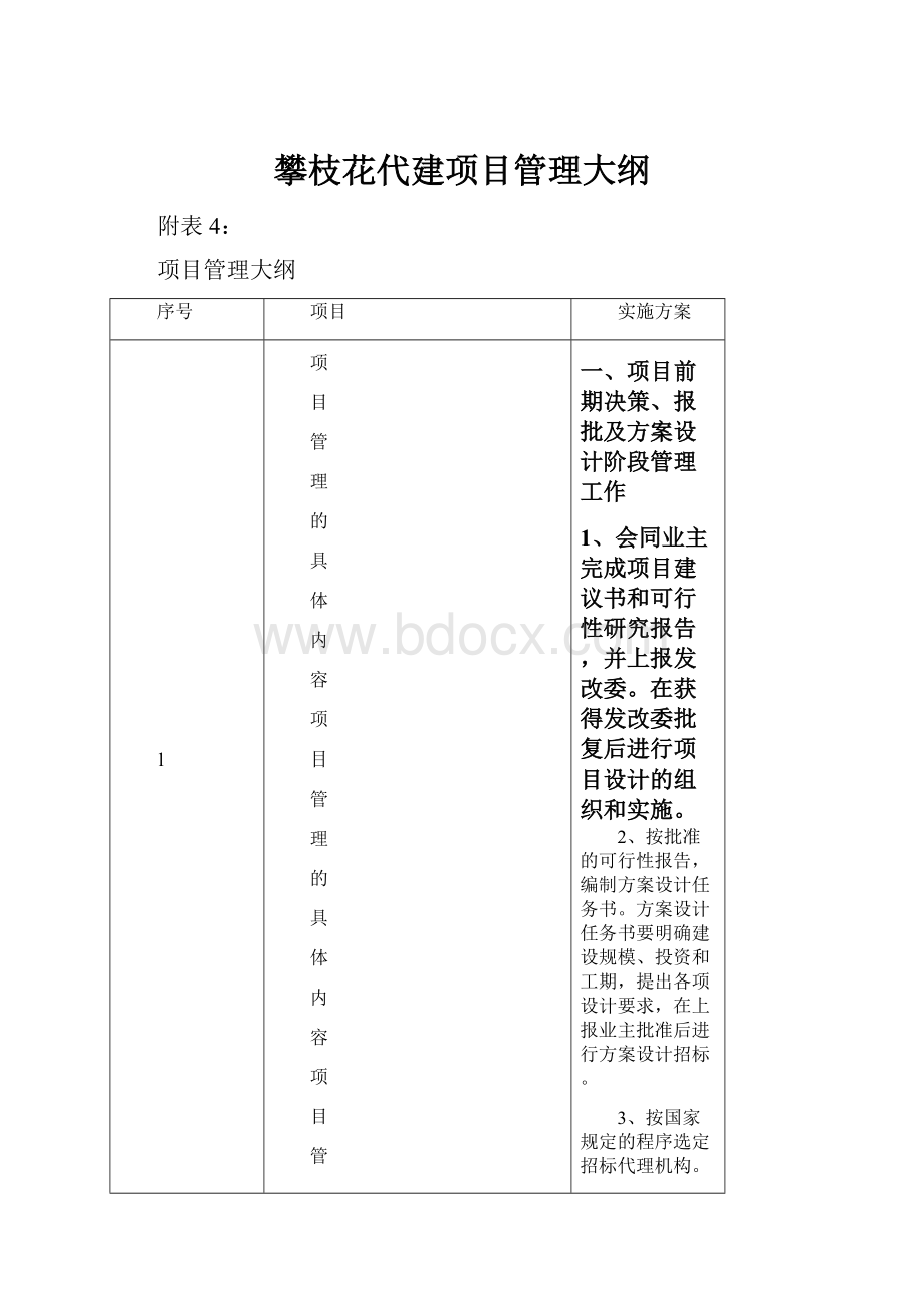 攀枝花代建项目管理大纲.docx