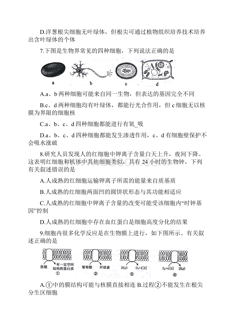 学年河南省郑州市高二下学期期末考试生物试题Word版.docx_第3页