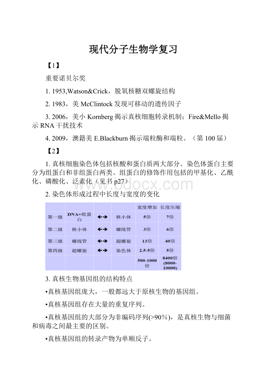 现代分子生物学复习.docx_第1页