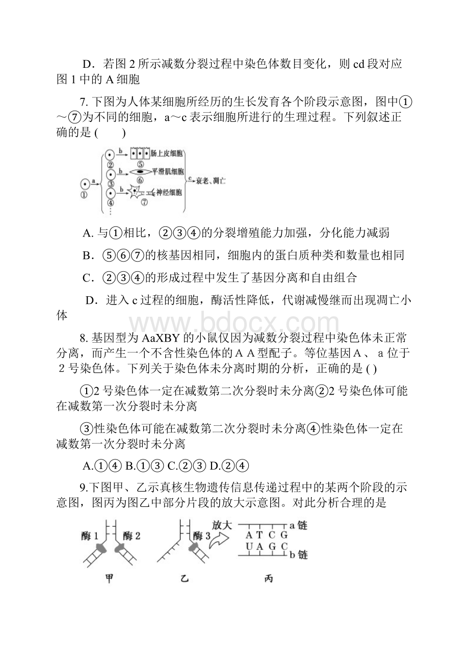 高三高考模拟专家卷 生物1 含答案.docx_第3页