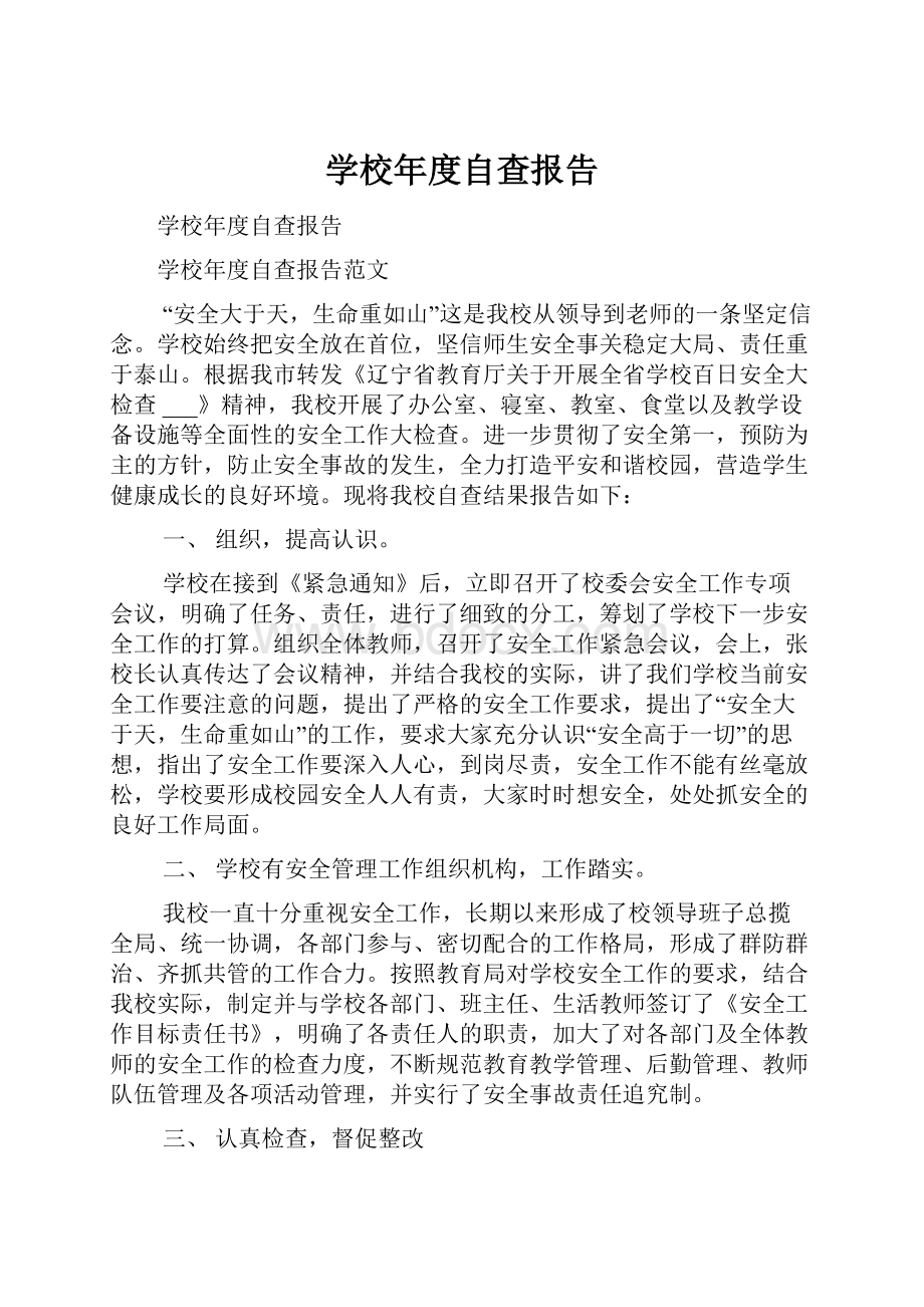 学校年度自查报告.docx_第1页