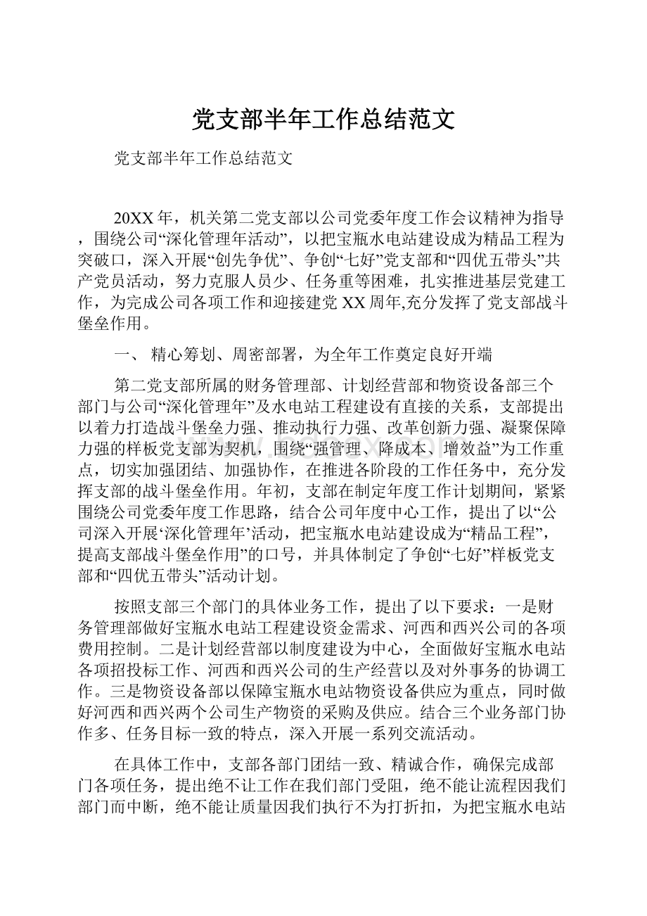 党支部半年工作总结范文.docx