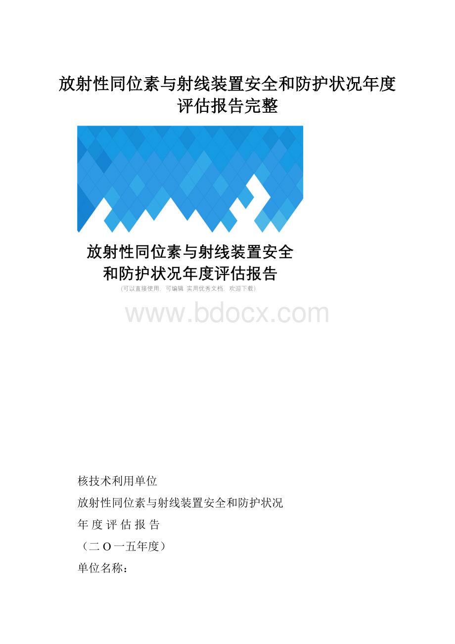 放射性同位素与射线装置安全和防护状况年度评估报告完整.docx_第1页