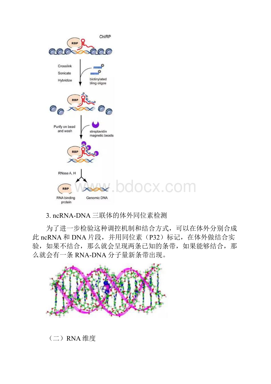 非编码RNA研究技术总结讲解学习.docx_第3页