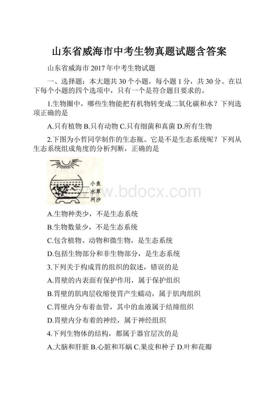 山东省威海市中考生物真题试题含答案.docx