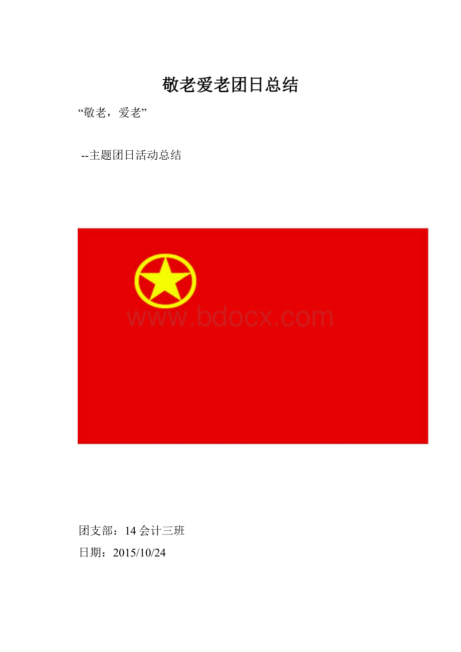 敬老爱老团日总结.docx