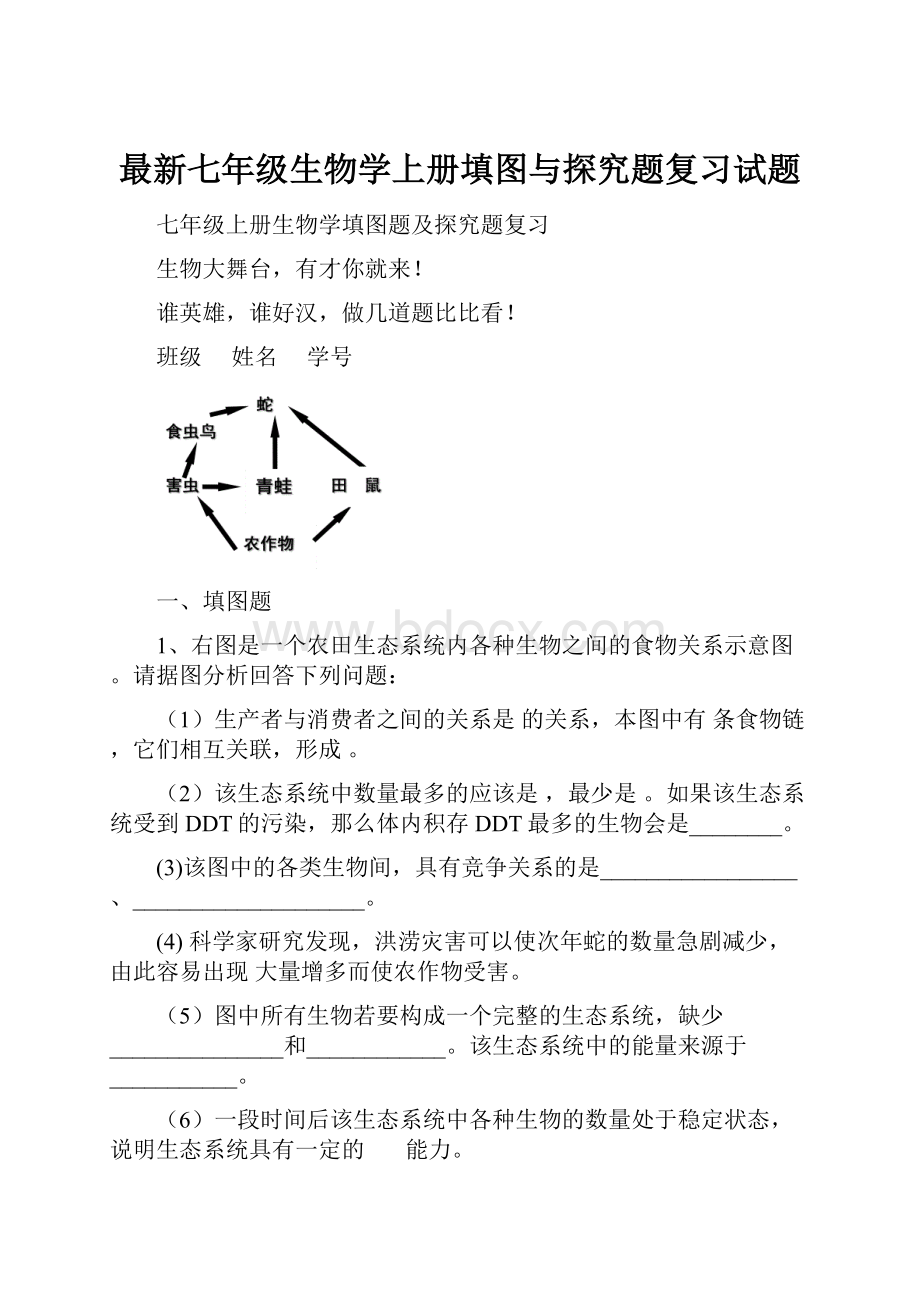 最新七年级生物学上册填图与探究题复习试题.docx_第1页