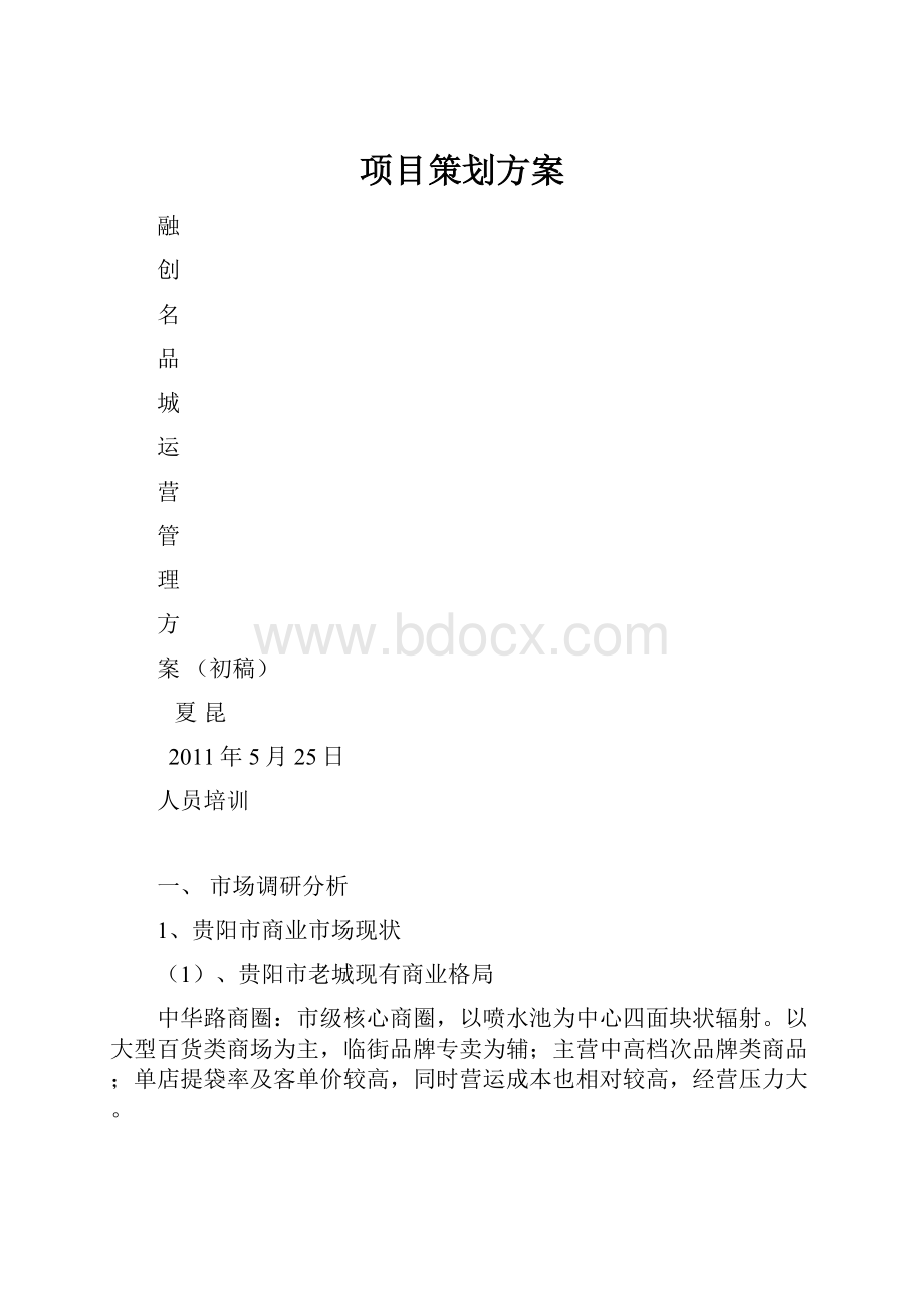 项目策划方案.docx