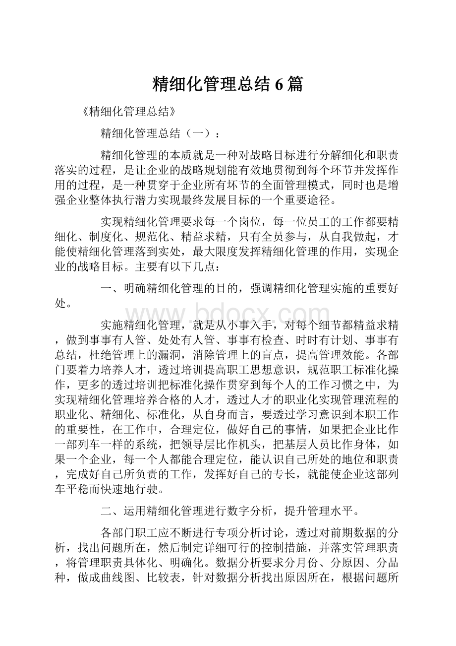 精细化管理总结6篇.docx