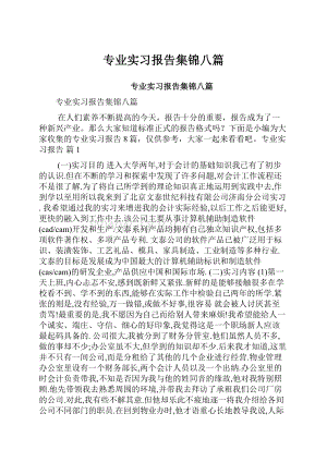 专业实习报告集锦八篇.docx