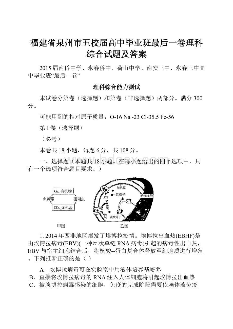 福建省泉州市五校届高中毕业班最后一卷理科综合试题及答案.docx_第1页