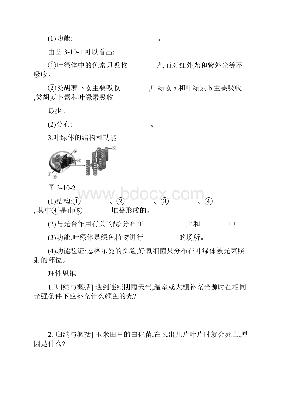 高考生物一轮复习第3单元细胞的能量供应和利用第10讲.docx_第2页