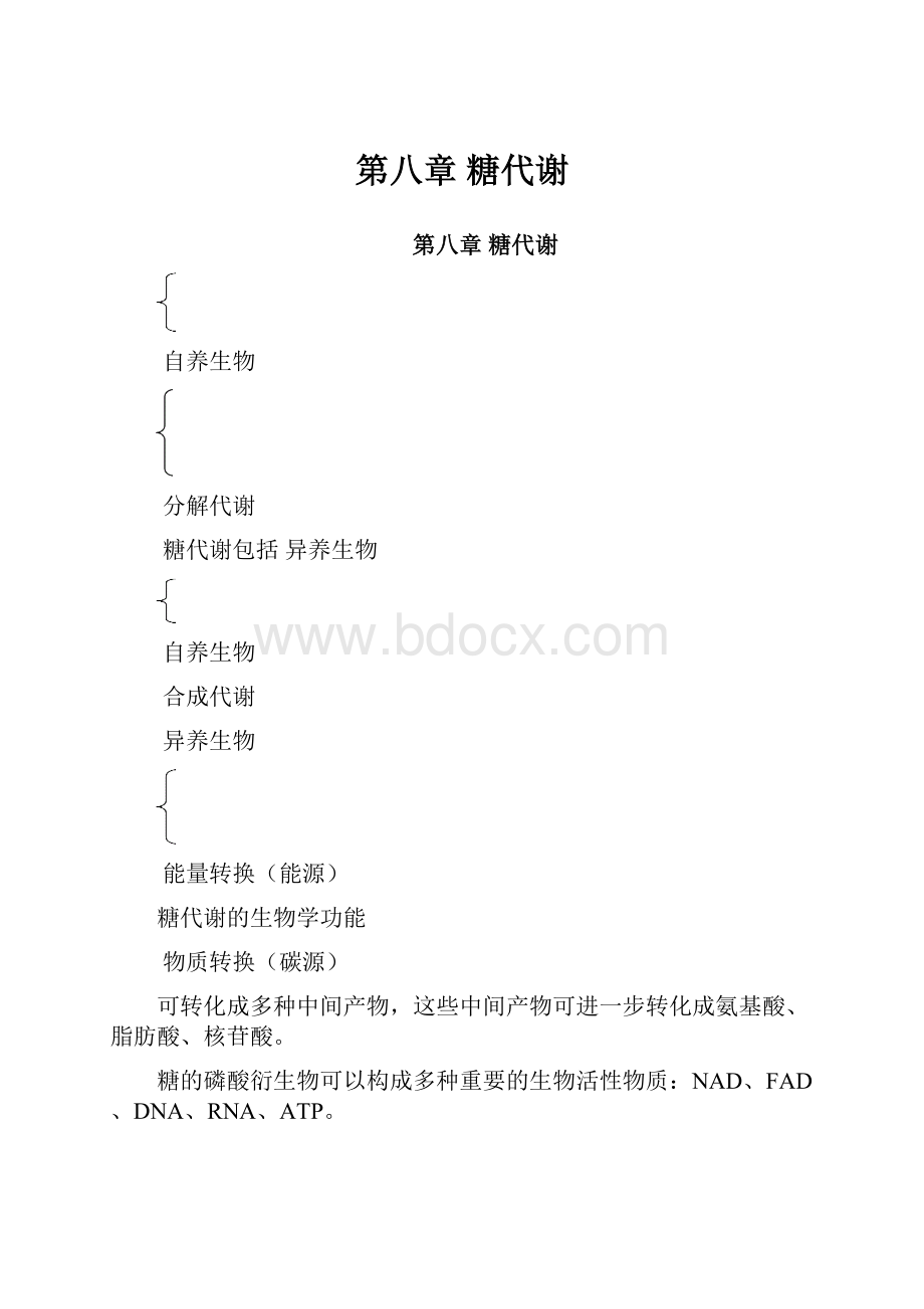 第八章 糖代谢.docx