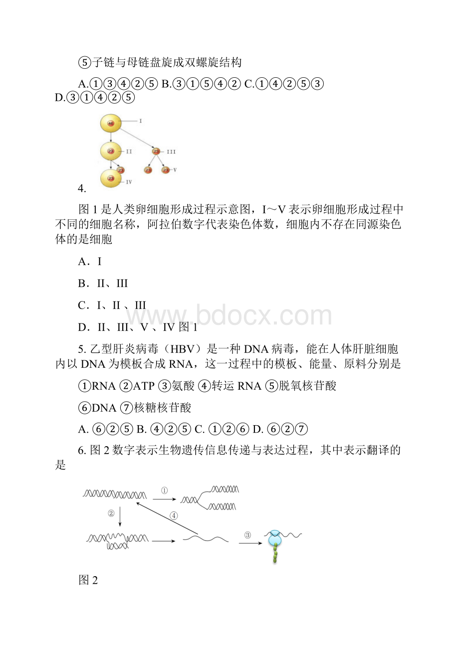 金山区秋高二高三第一学期期末一模学科质量检测生物试题及答案精doc.docx_第2页