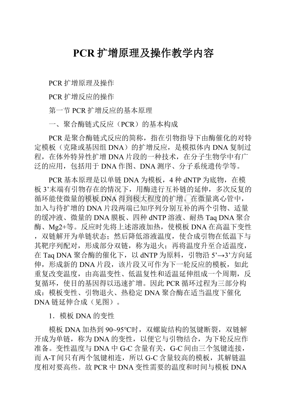 PCR扩增原理及操作教学内容.docx