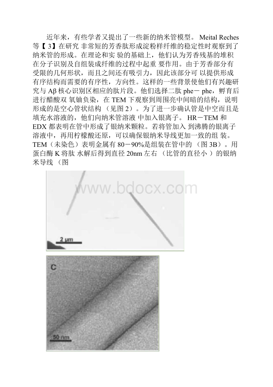 蛋白质及多肽分子自组装.docx_第2页