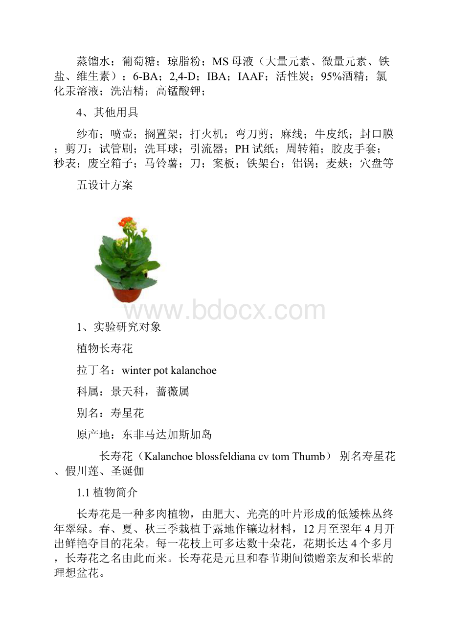 长寿花组培快繁实验设计.docx_第3页