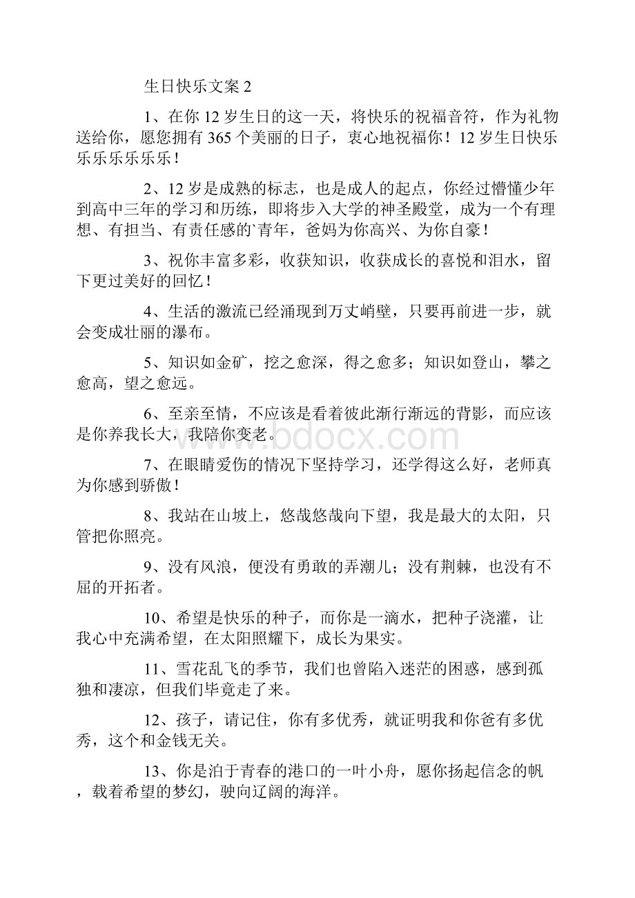 关于生日快乐文案精选五篇.docx_第3页