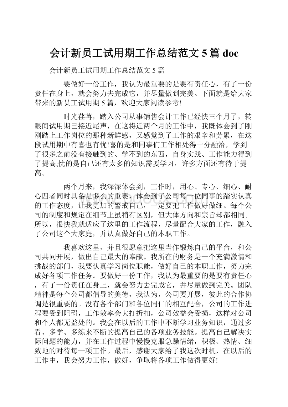 会计新员工试用期工作总结范文5篇doc.docx