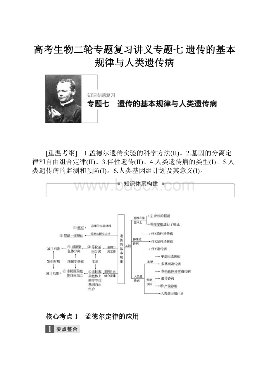 高考生物二轮专题复习讲义专题七 遗传的基本规律与人类遗传病.docx