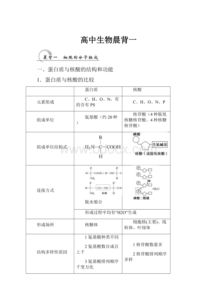 高中生物晨背一.docx