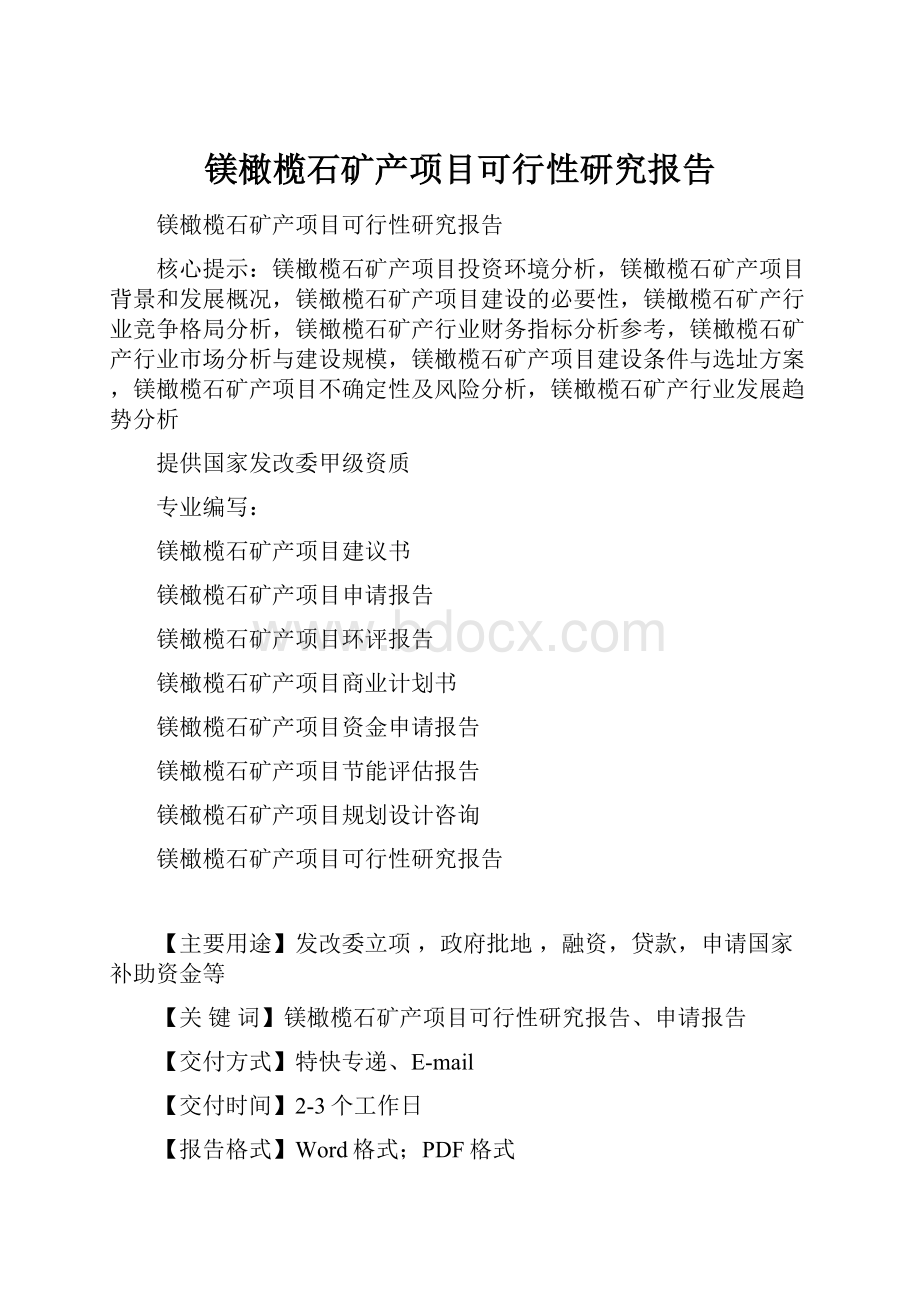 镁橄榄石矿产项目可行性研究报告.docx