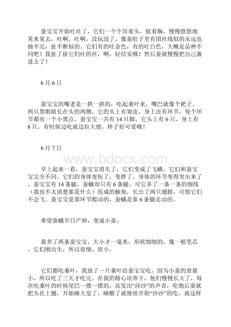 关于蚕的观察日记合集8篇.docx_第2页