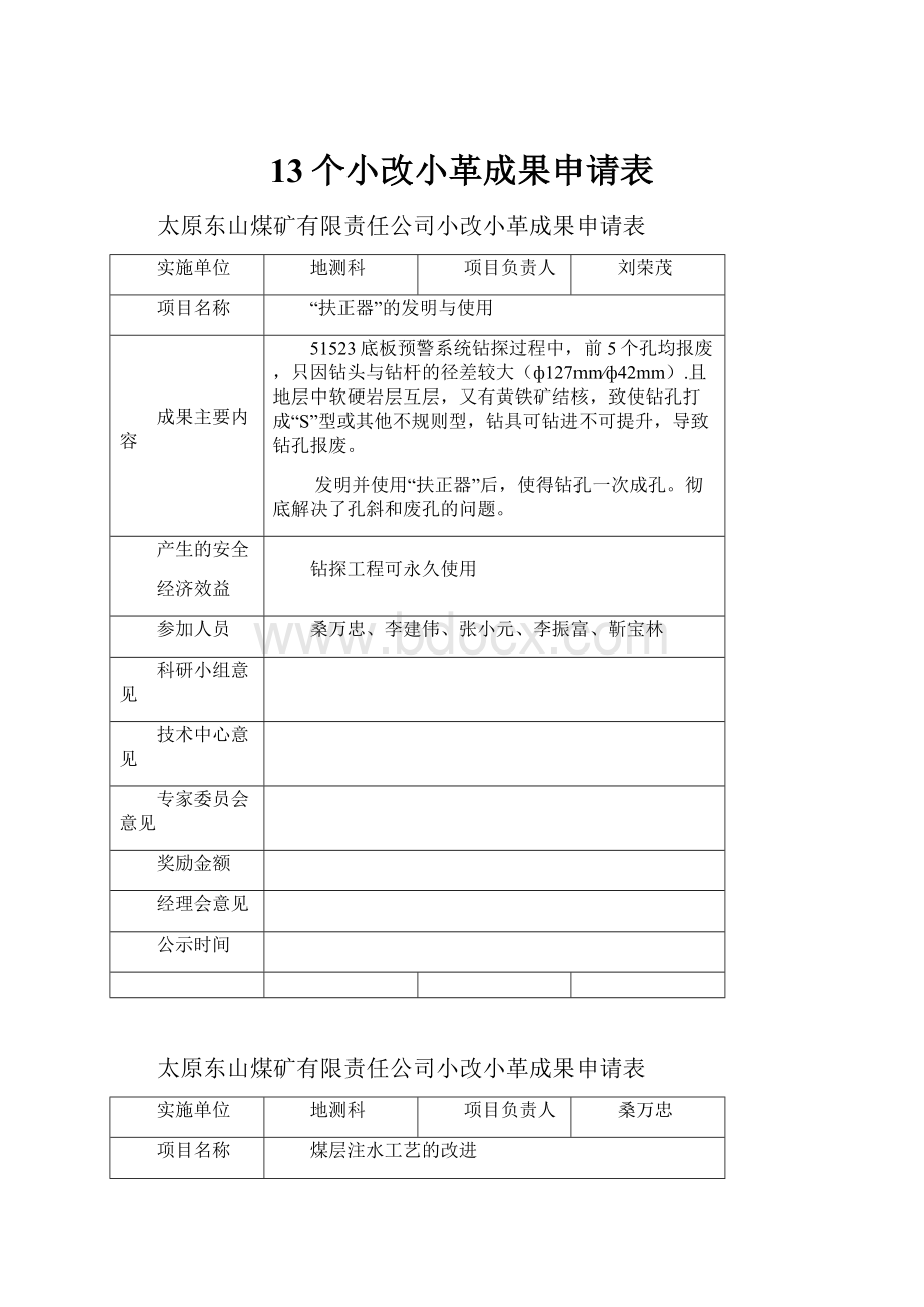 13个小改小革成果申请表.docx