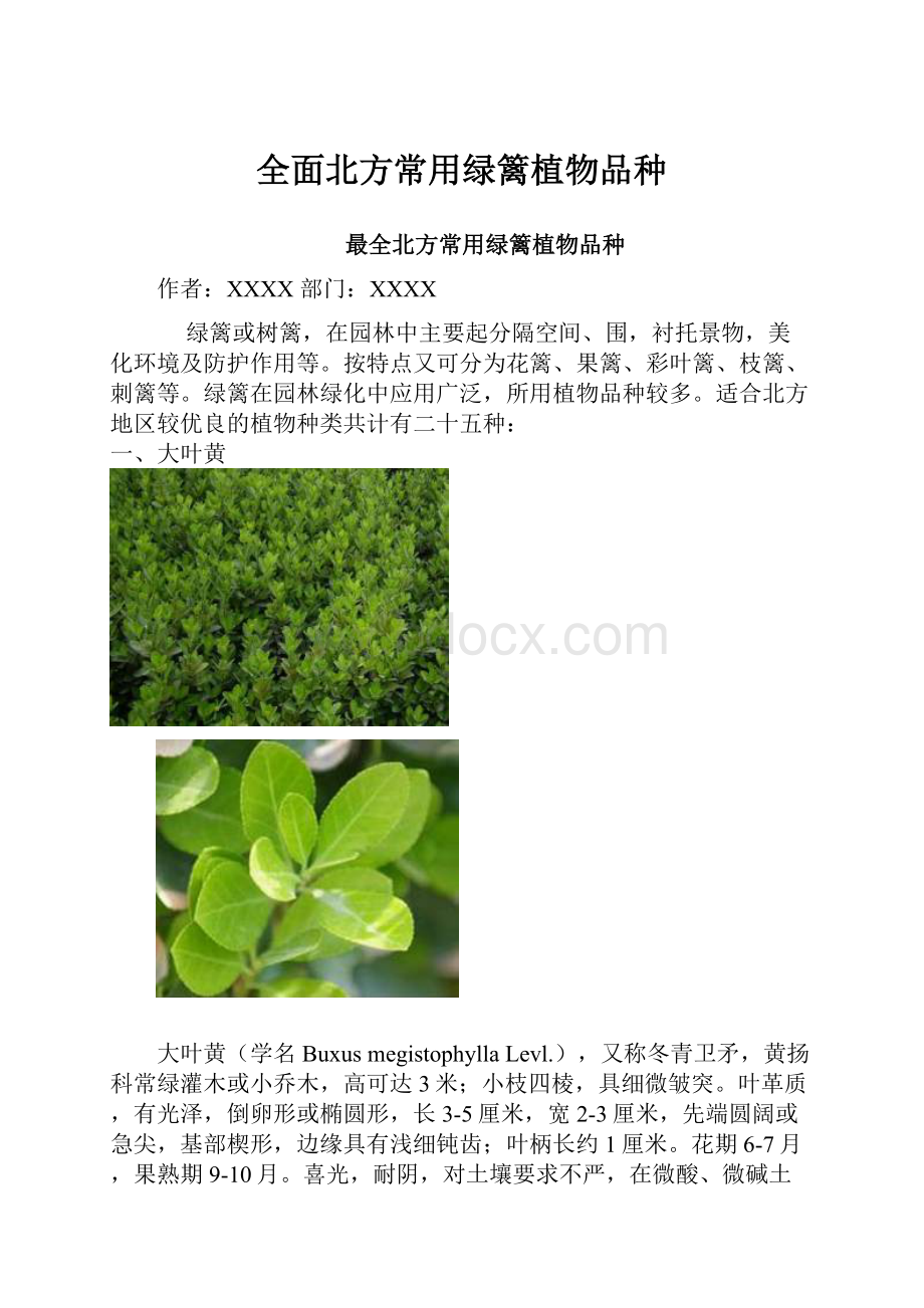 全面北方常用绿篱植物品种.docx_第1页