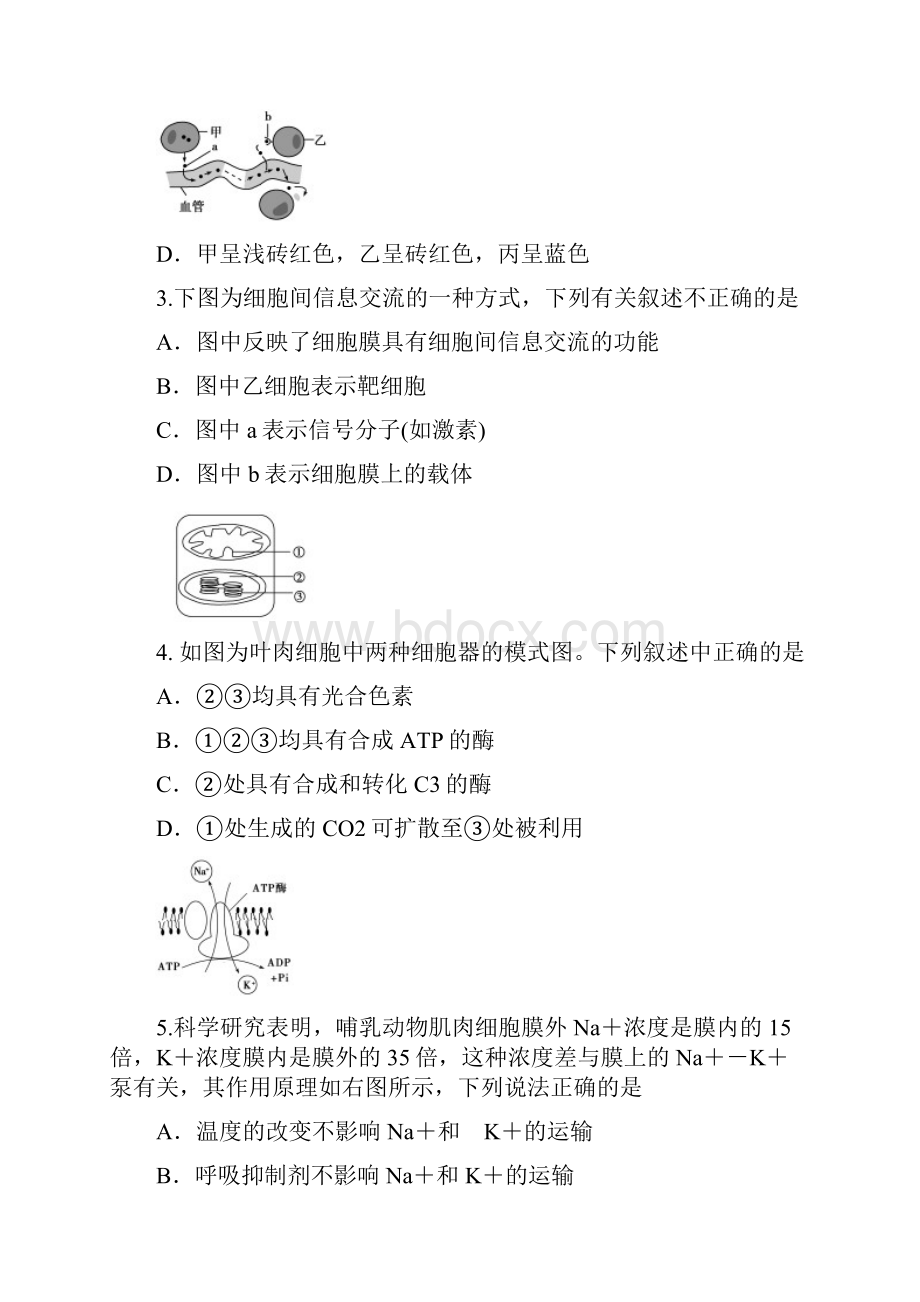 学年高二上学期生物期末试题及答案.docx_第2页