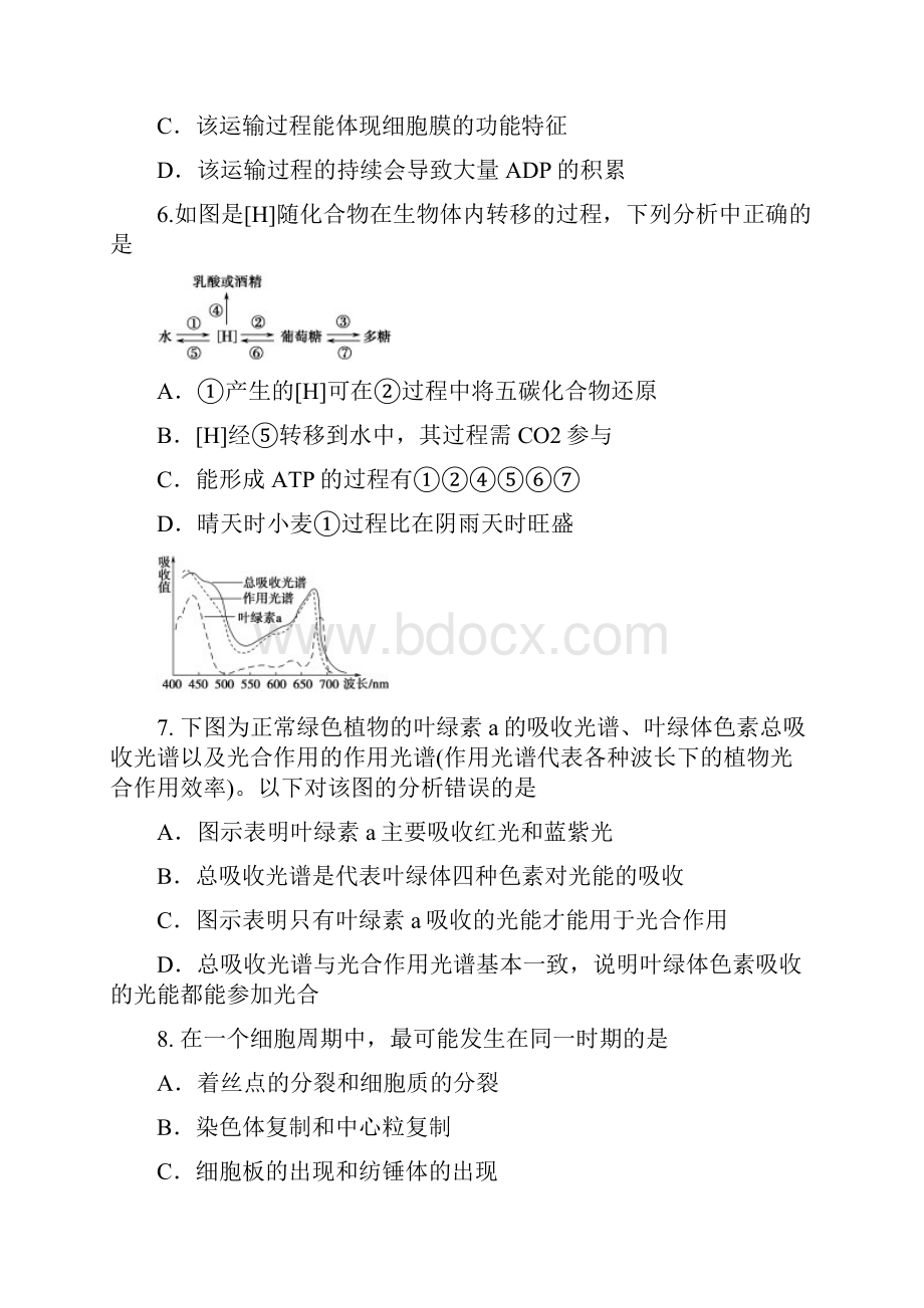 学年高二上学期生物期末试题及答案.docx_第3页