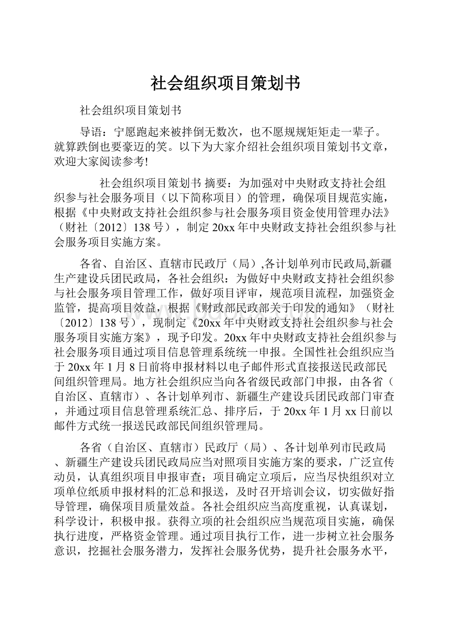 社会组织项目策划书.docx