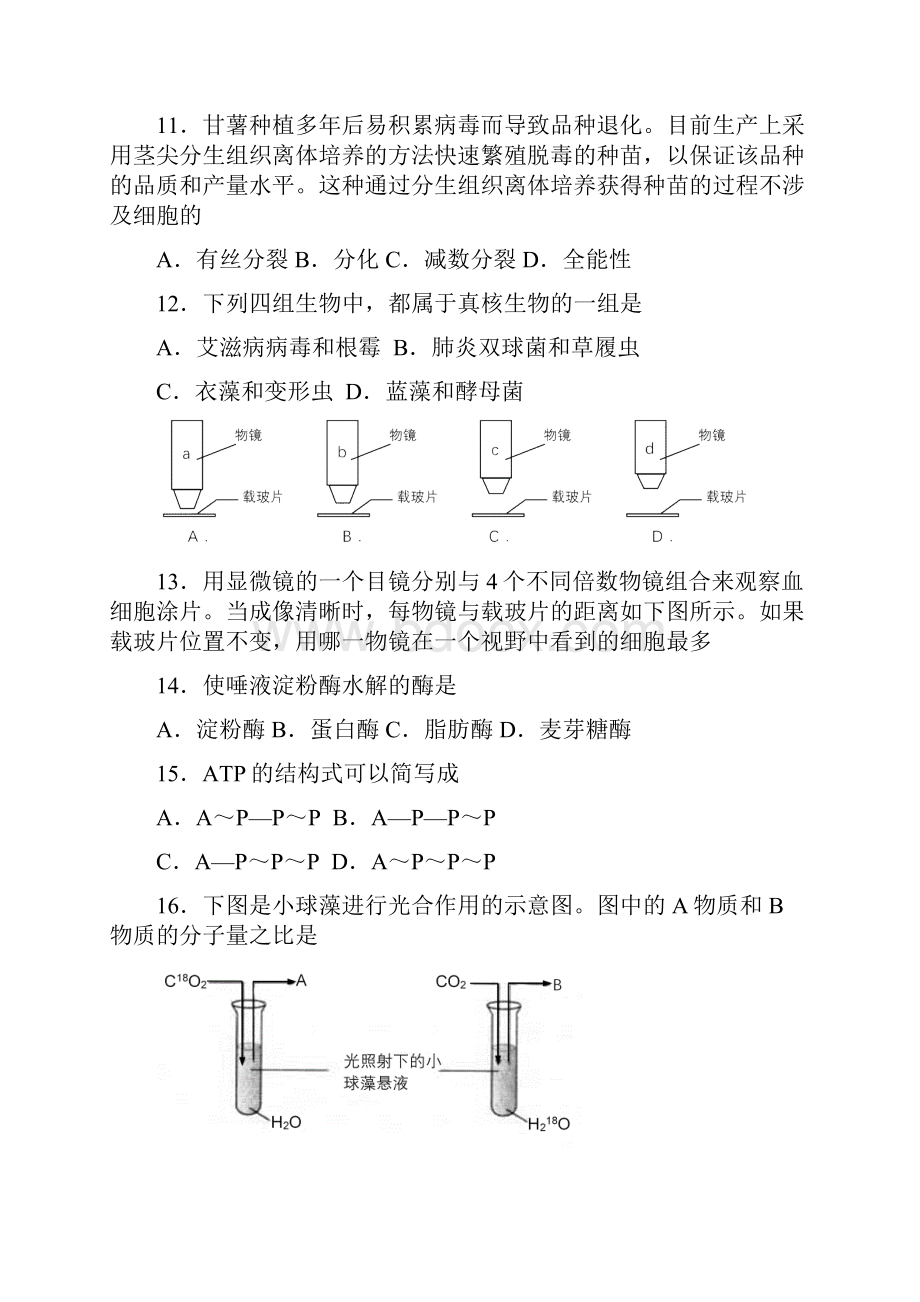 高一下学期生物期末考试试题及答案.docx_第3页