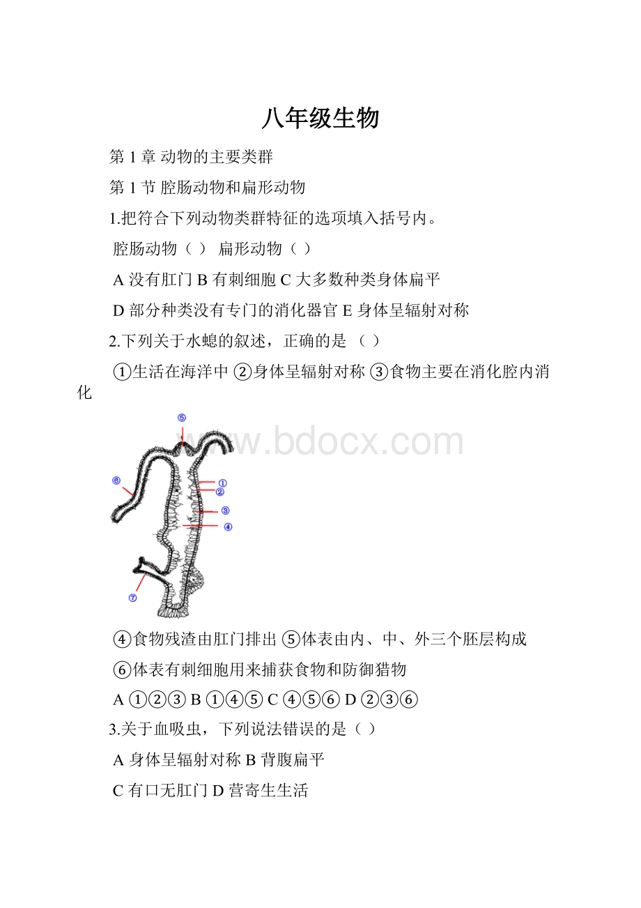 八年级生物.docx