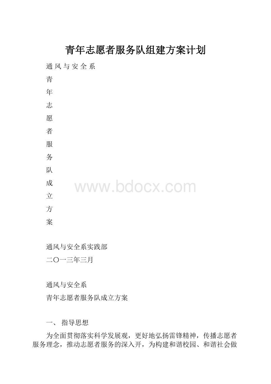 青年志愿者服务队组建方案计划.docx