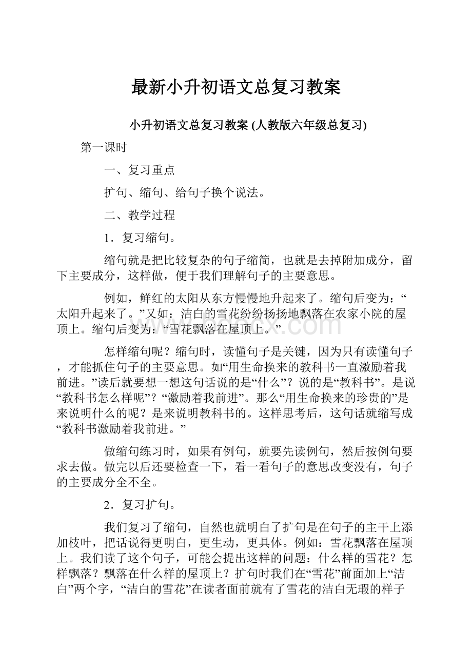 最新小升初语文总复习教案.docx