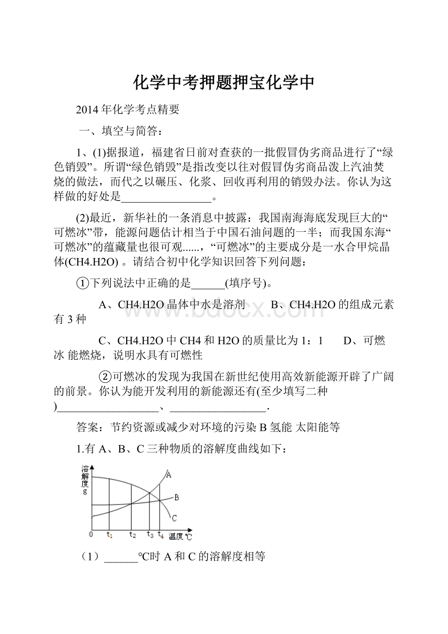 化学中考押题押宝化学中.docx