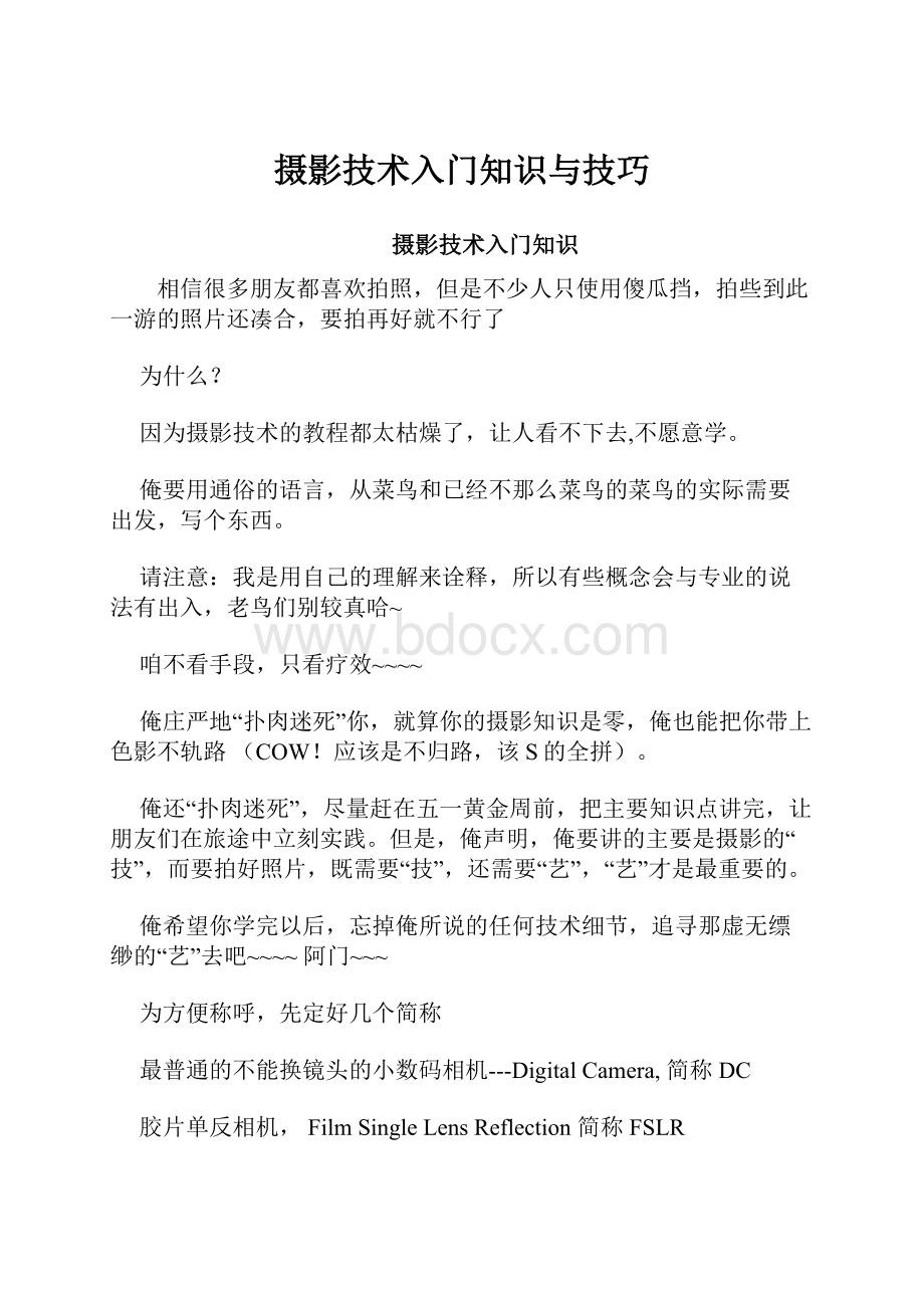 摄影技术入门知识与技巧.docx