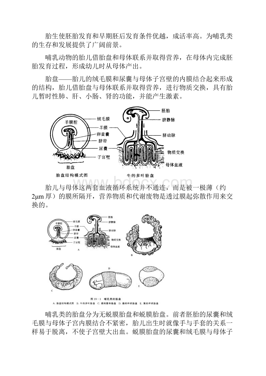 最高等的脊椎动物哺乳纲Mammalia哺乳动物是全身被.docx_第2页