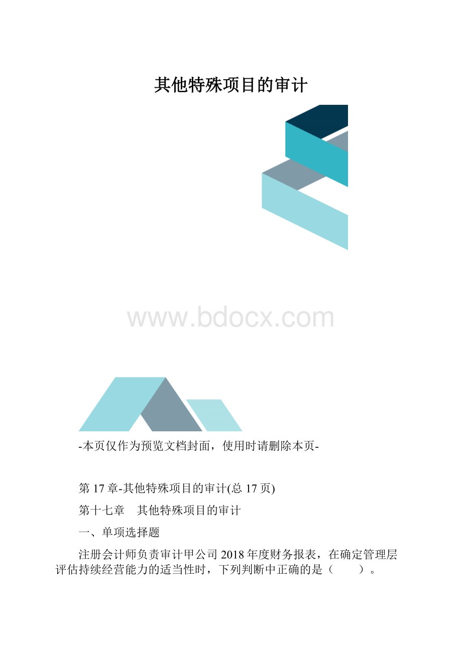 其他特殊项目的审计.docx