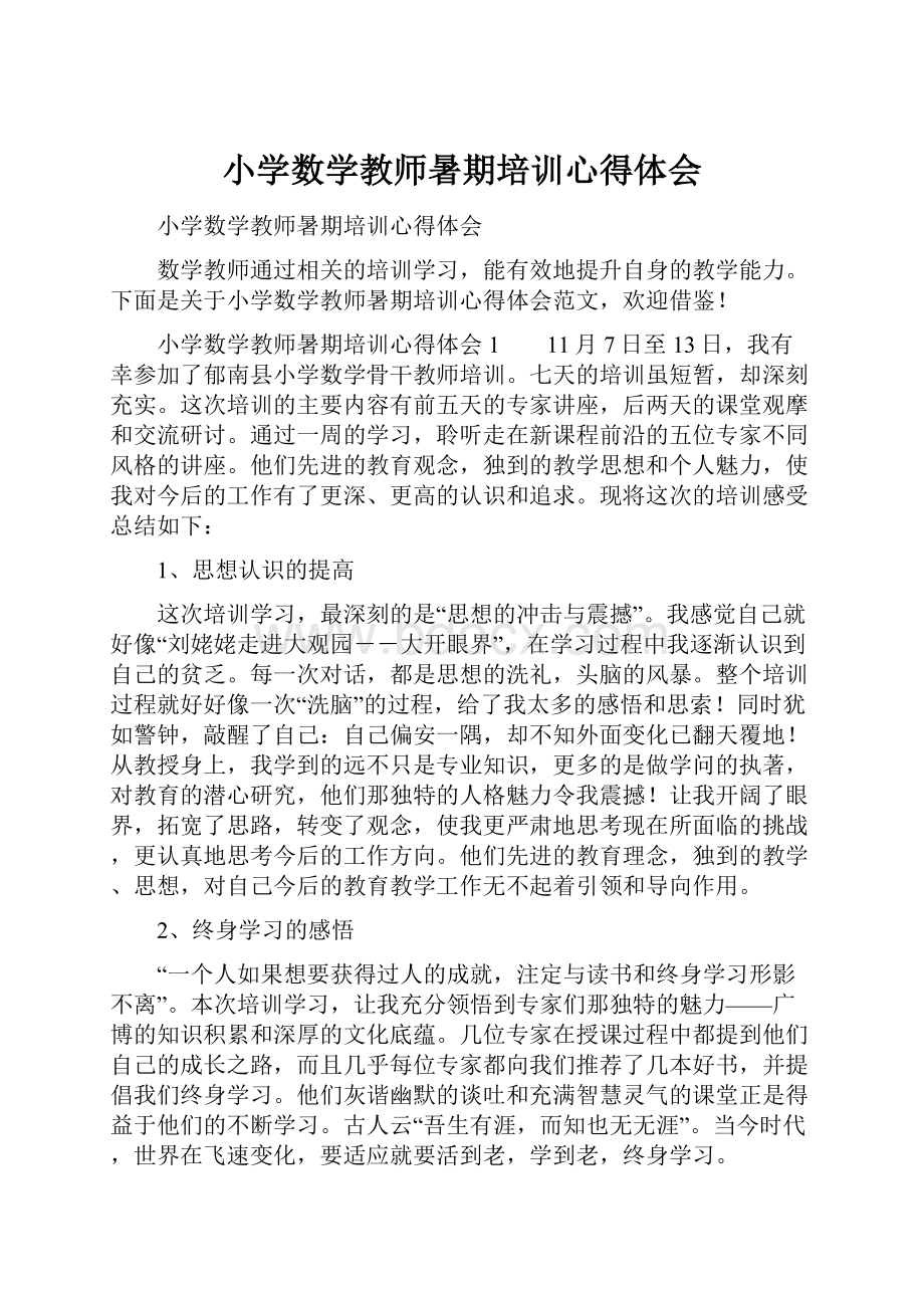 小学数学教师暑期培训心得体会.docx