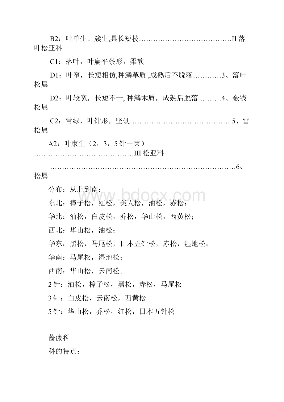 园林树木学复习提纲各论部分.docx_第2页