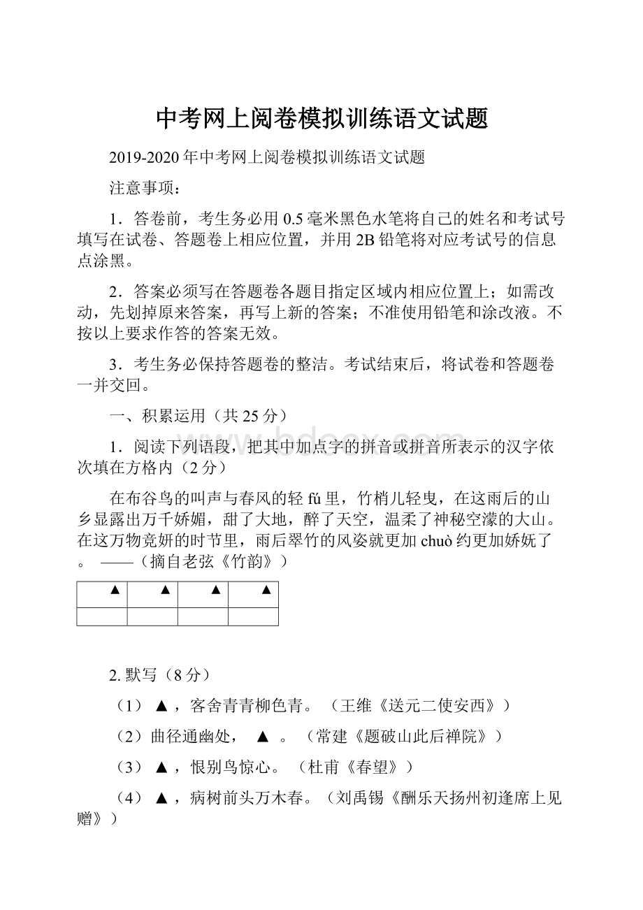 中考网上阅卷模拟训练语文试题.docx