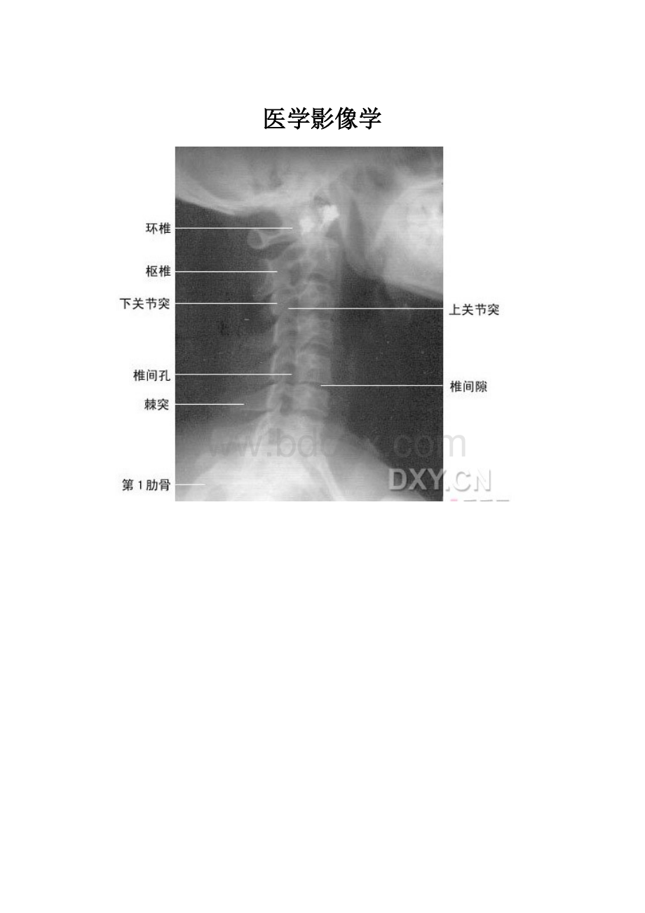 医学影像学.docx