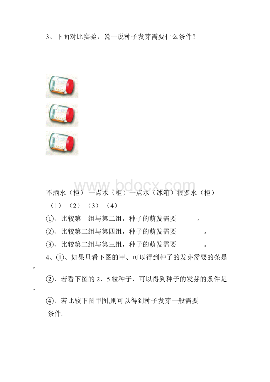 鄂教版四年级下册科学第一单元测试题.docx_第3页