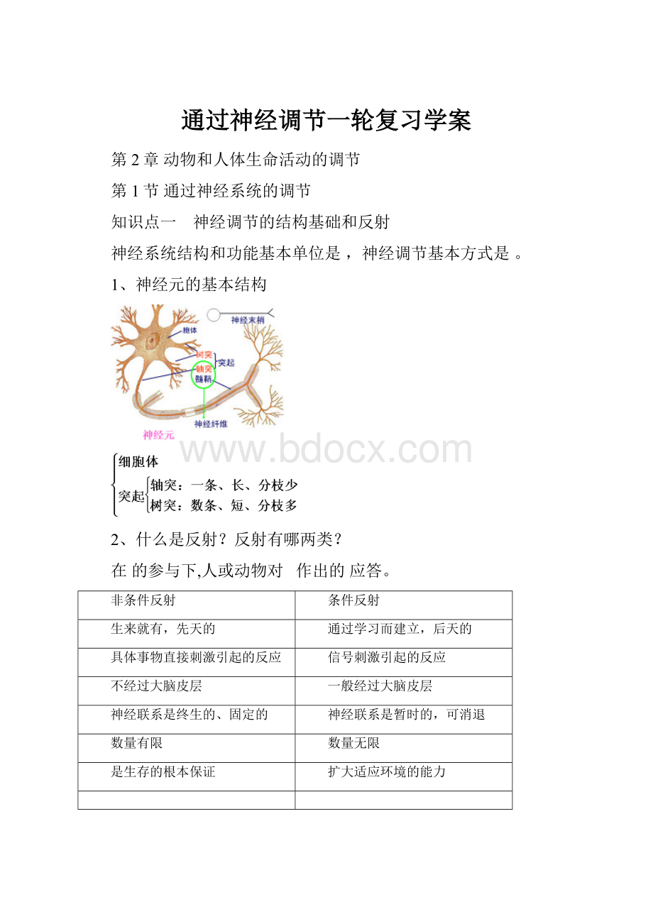 通过神经调节一轮复习学案.docx