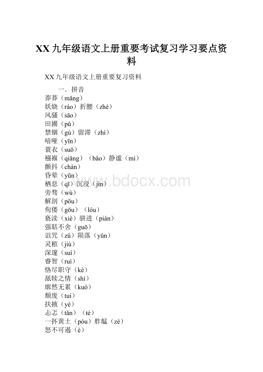 XX九年级语文上册重要考试复习学习要点资料.docx