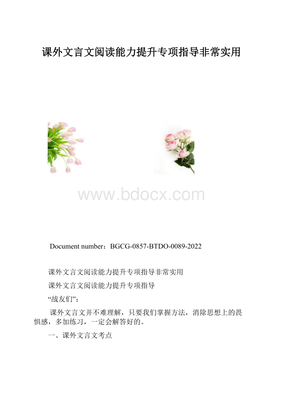 课外文言文阅读能力提升专项指导非常实用.docx